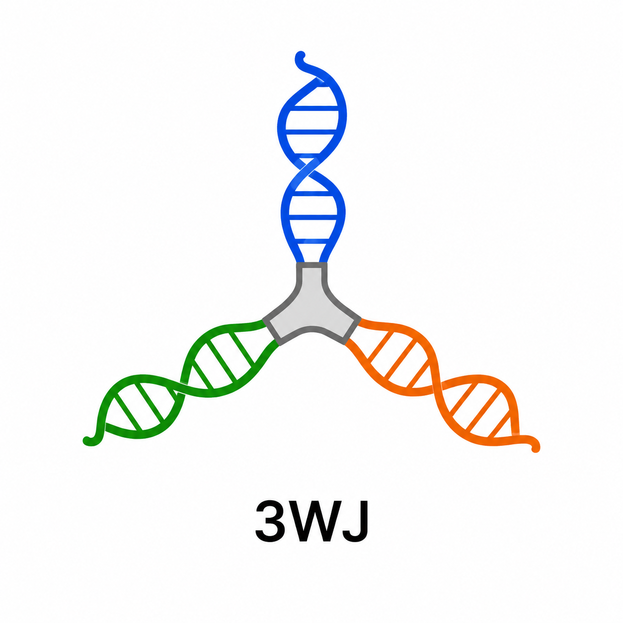 3WJ RNA Nanoparticle